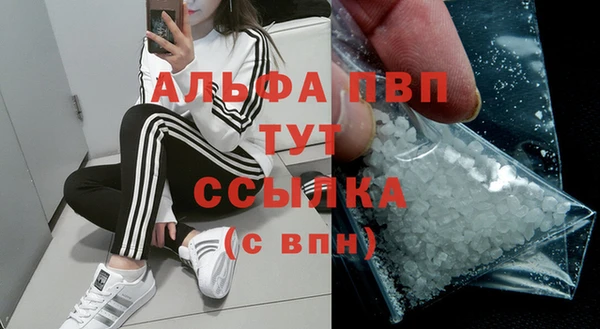 стафф Туринск